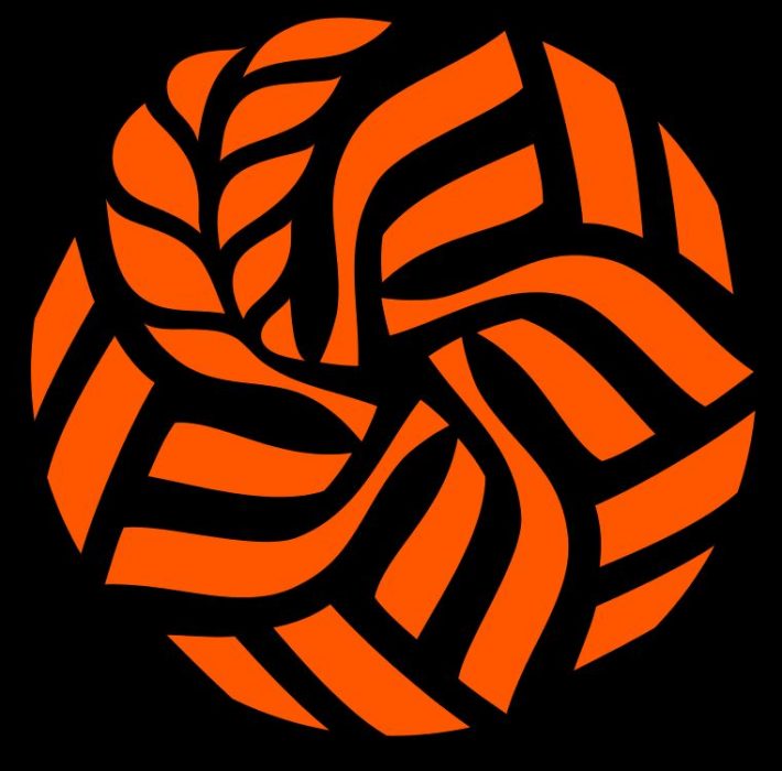 Logo groot op slider home